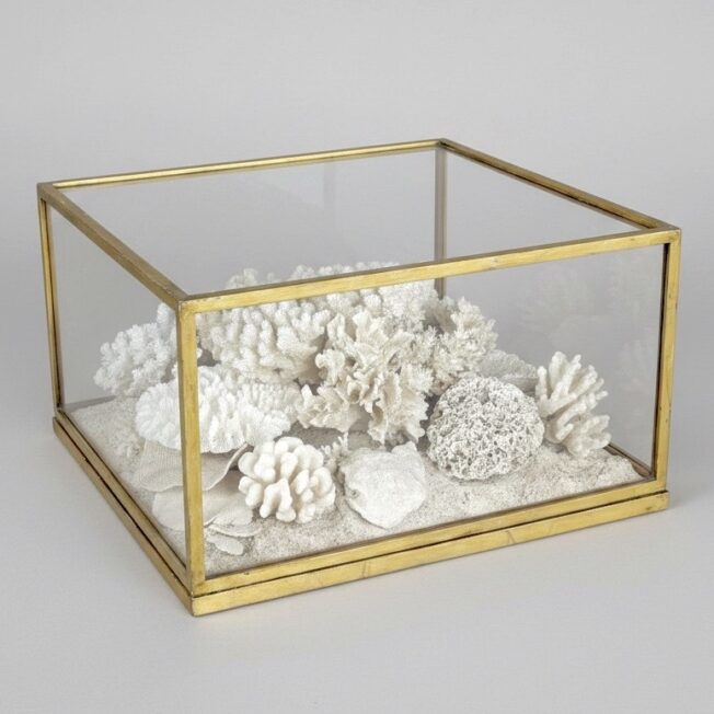 Antique Coral